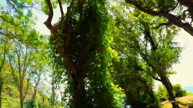 Лучший отдых в просторных апартаментах на море в хуторе Бетта. Краснодарский край лучшие место! смотреть онлайн