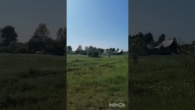 Продажа участка 18 соток д. Ульянцево Талдомского района #продажа #династия #недвижимость смотреть онлайн