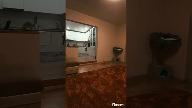 3к Рождественский смотреть онлайн