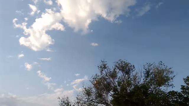 Надежда Белая победила болезнь смотреть онлайн