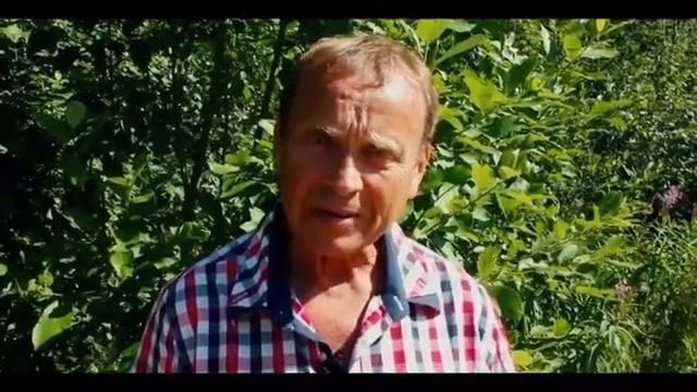 Обращение Ефимова В А смотреть онлайн