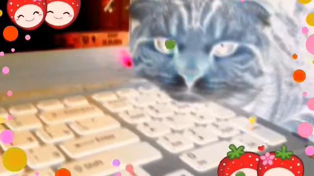 Мой кот и моя квартира у бабушки смотреть онлайн