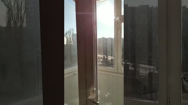 Аренда квартиры - студии в Центре смотреть онлайн