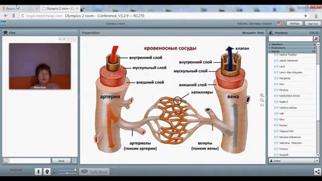ASEA. как избавиться от болезней мозга и кровеносных сосудов смотреть онлайн