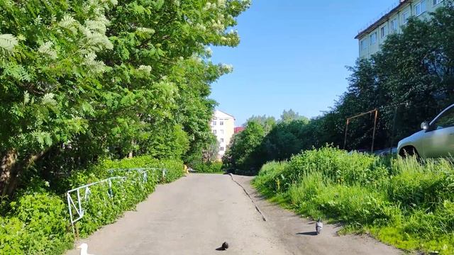 Мурманск, вот и жара... (Александрова 28, Чумбарова-Лучинского 12). смотреть онлайн