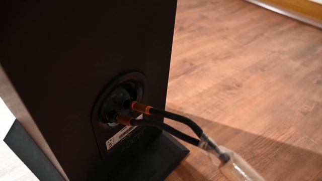 FOCAL Chora 816 落地喇叭: Dominique Fils-Aimé - Nameless, Birds