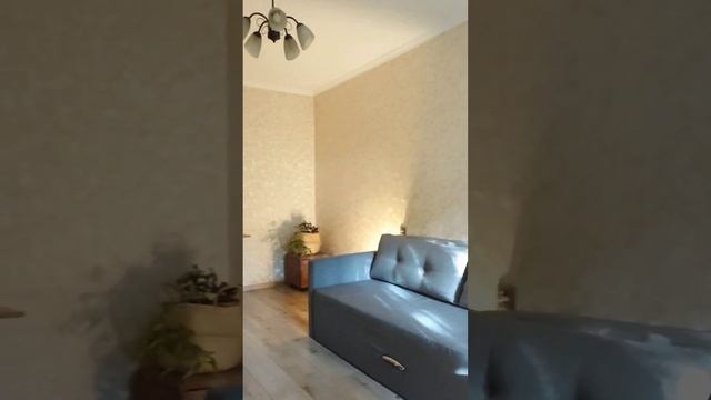 Квартира в Лосиноостровком районе. смотреть онлайн