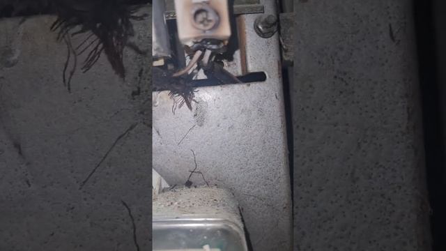 Электрик Кискелово . Ремонт электрики +79811736826 #ремонт #электрики #спб #дом #дача #квартира смотреть онлайн