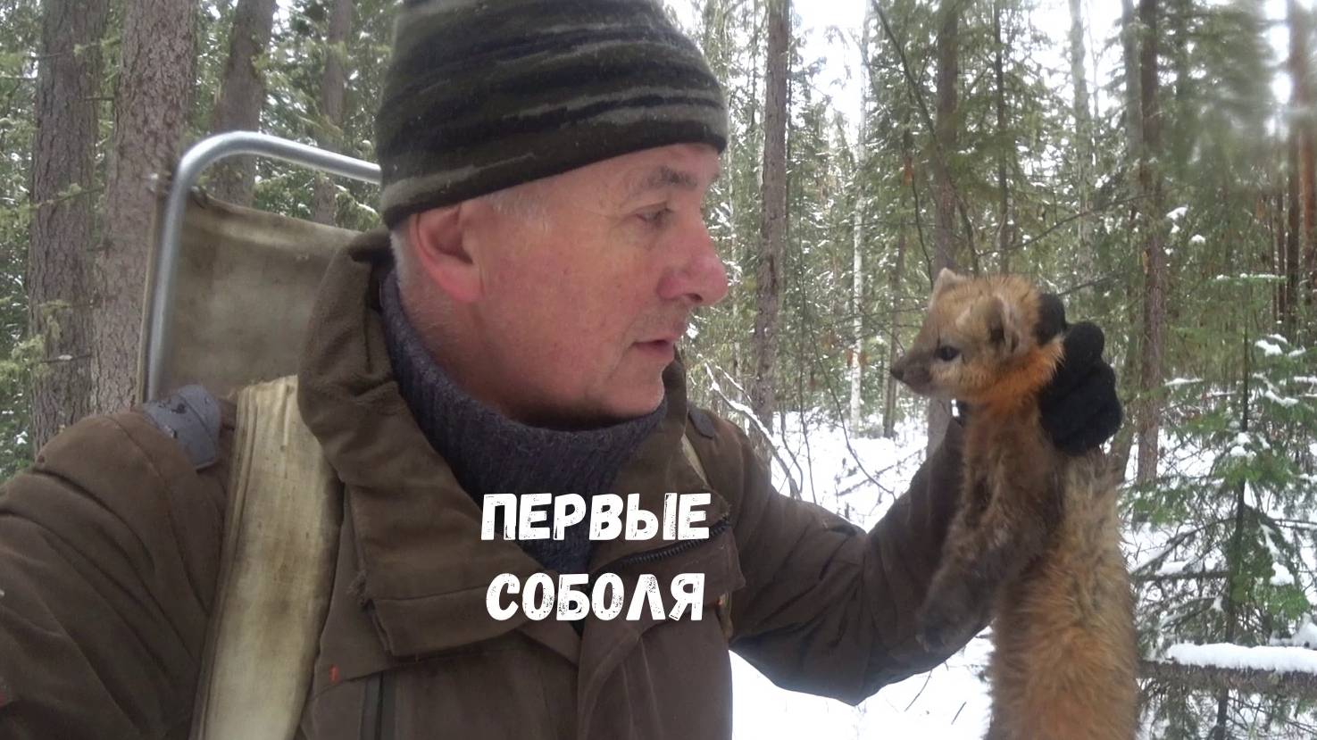 ПЕРВЫЕ СОБОЛЯ СЕЗОНА смотреть онлайн