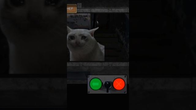 Отвечаю на вопросы из моего телеграм канала ч4 смотреть онлайн