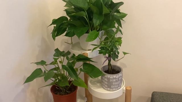 Studio apartment tour| minimalist apartment |Taiwan apartments смотреть онлайн