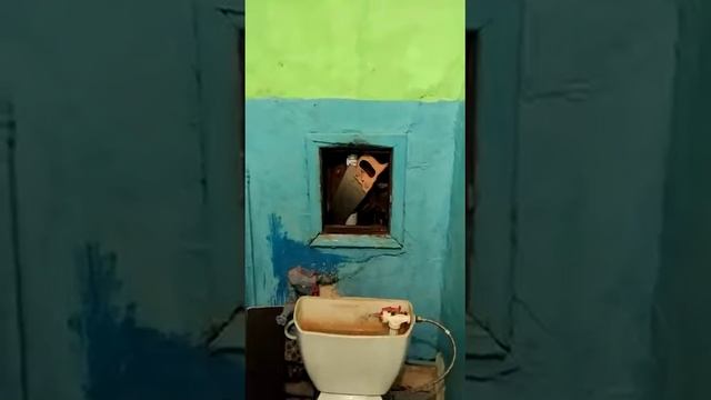 Комуналка смотреть онлайн