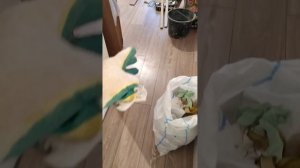 Ламинат без стыков между комнатами!