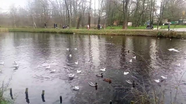 Красота,Польша, Прушкув. смотреть онлайн