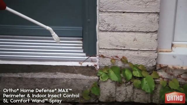 How to keep bugs out of your home | Ortho смотреть онлайн