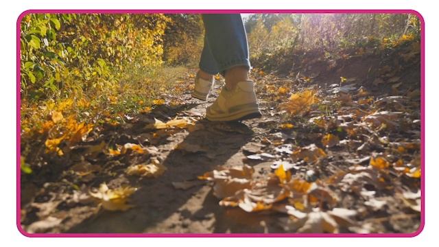 Vocabulary presentation 04-03_path смотреть онлайн