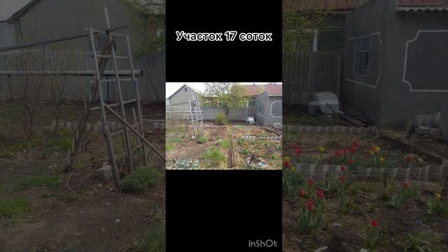 Дом 105 мкв, участок 17 соток. Алтайский край село Полевое 68 км от г. Славгород. 750тр смотреть онлайн