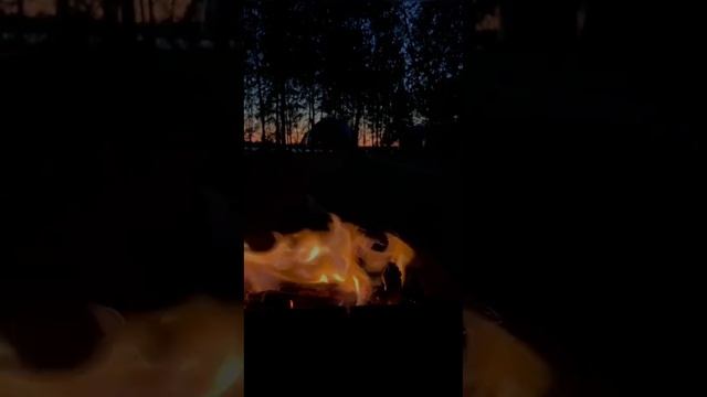 Вайб глэмпинга на Рыбинском море смотреть онлайн