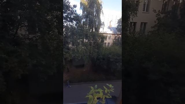 Большая Серпуховская 34-5-46 видео ГУП Моссоцгарантия смотреть онлайн