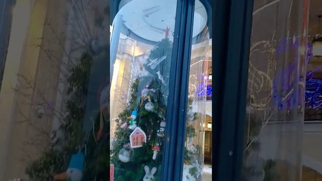 РОЖДЕСТВЕНСКИЙ ПИТЕР, ГОСТИНКА🎄👑✨✨✨ смотреть онлайн