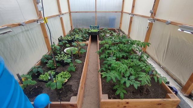 Умная теплица на ESP8266. Автономная теплица с проветриванием и автополивом. смотреть онлайн