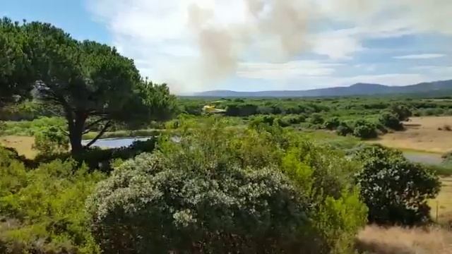 Brave Fire Fighters In The Overberg