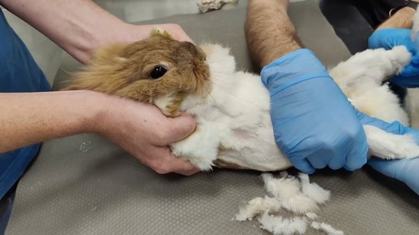 КАК ПРАВИЛЬНО СНЯТЬ КАТЕТЕР