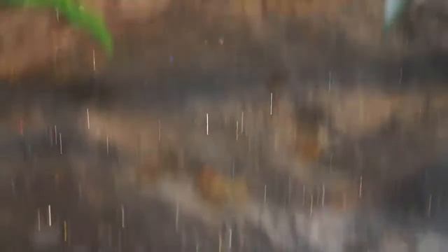 Динозаврия Вельск Фонд Наше Будущее Сергей Пятовский