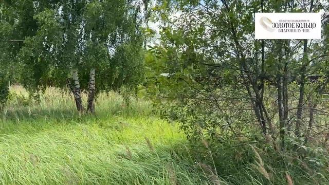 Продается участок 15 соток с подведённым электричеством в дер. Афанасьево, около города Александров смотреть онлайн