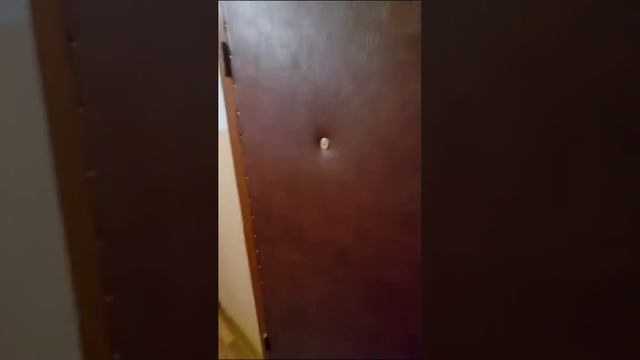 1 ком.кВ. Г. Раменское Гурьева 10 смотреть онлайн