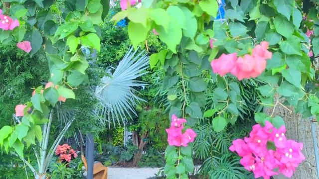 #paragraphhotel Paragraph Resort & Spa Shekvetili-PARAGRAPH 2024