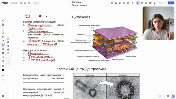 Основы биологии #7 | Строение клетки