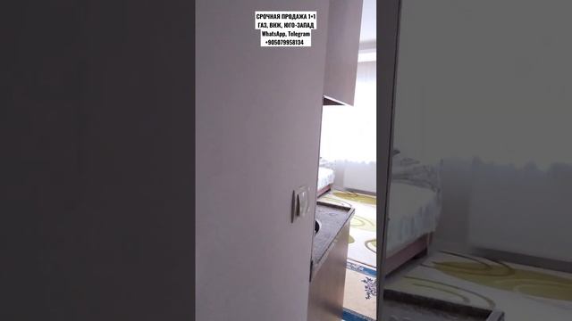 🔥СРОЧНАЯ ПРОДАЖА🔥 1+1 ГАЗ, ВНЖ, ЮГО-ЗАПАД 53.000$ С ОФОРМЛЕНИЕМ смотреть онлайн