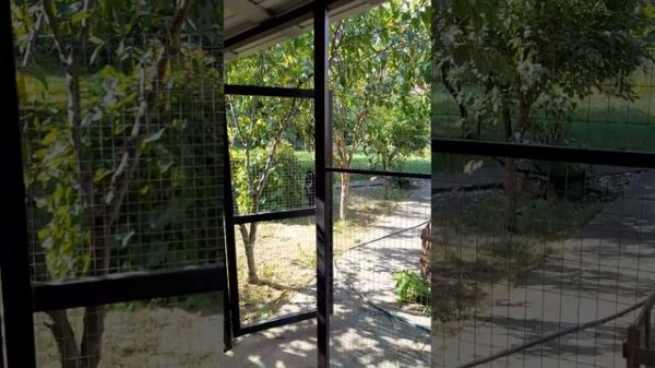 Жилье на Мацесте в Сочи