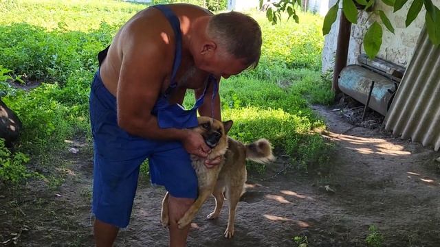 Поездка в село на выходные 30-31 июля 2022 смотреть онлайн