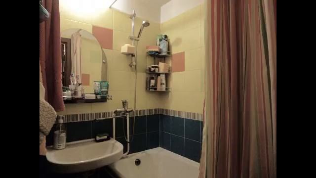 Двухкомнатная с евроремонтом с видом на парк смотреть онлайн