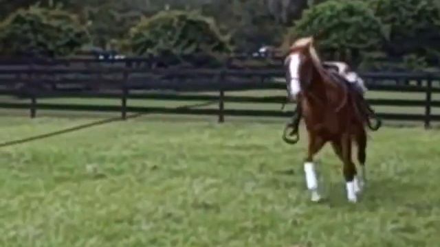 EPR I GOT IT 2012 MARE I GOT CHARISMA X HONEYS HOT JAZZ смотреть онлайн