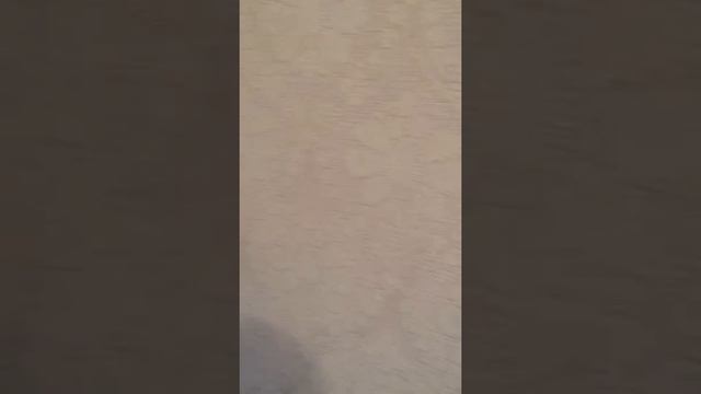 Сдам комнату у метро Ломоносовская смотреть онлайн