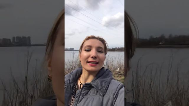 ЖК Невские паруса, ЖК Живи в Рыбацком, ЖК Екатерина Великая смотреть онлайн