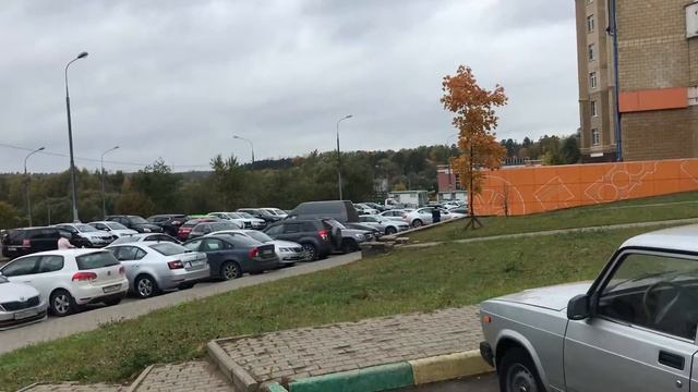 Новые сады обзорное смотреть онлайн