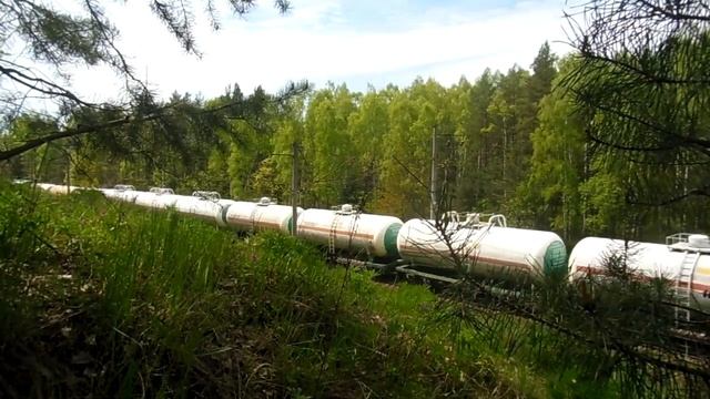 Электропоезд ВЛ80 на перегоне Жодино-Лесное смотреть онлайн