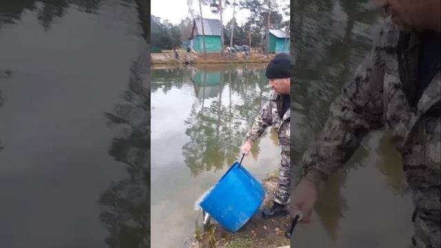 запуск смотреть онлайн