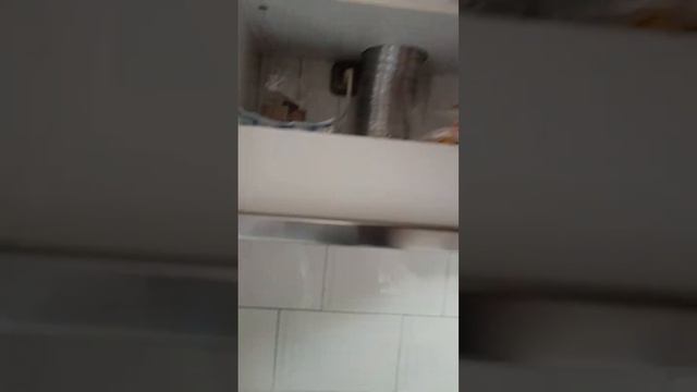 Гомель, Мазурова улица, 99, лето 2024 смотреть онлайн