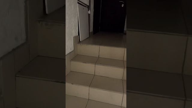 Квартира за 3 млн Адлер смотреть онлайн