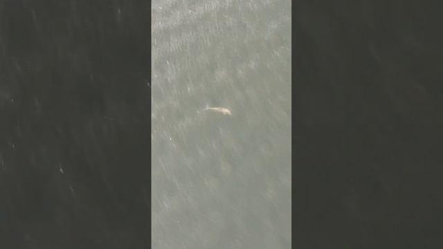 ЧО он бледный такой? 😁 смотреть онлайн