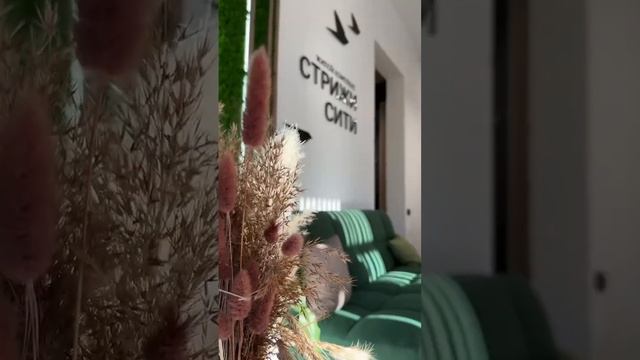 «Стрижи Сити» | Старт продаж новой очереди смотреть онлайн