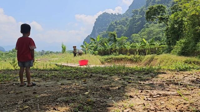 Find the boy's grandmother. How to keep the pond water before releasing fish. Harvest the squash. смотреть онлайн