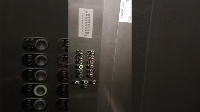 VID20240714160639 смотреть онлайн