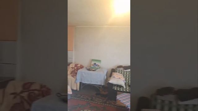 #5614 два дома на огромном участке 4381м2, Мартиничи. Даниловград #недвижимость #черногория #дом смотреть онлайн