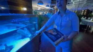 SHERATON SHARJAH BEACH RESORT & SPA 5* - Еда, Море, Бассейн